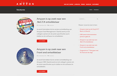 Amyyon software